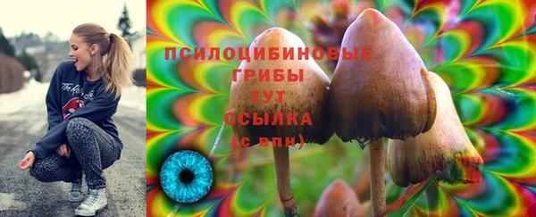 jwh Протвино